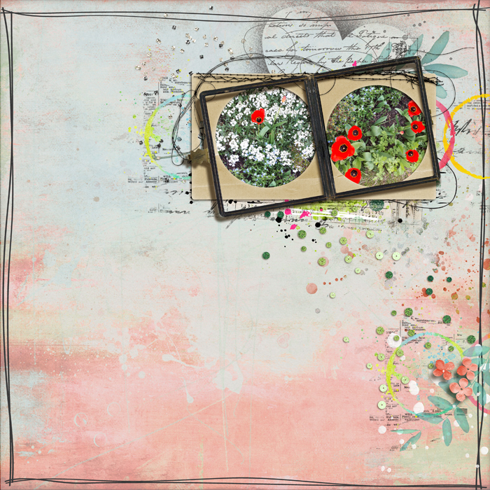 shadowbox 29 - opt. 1