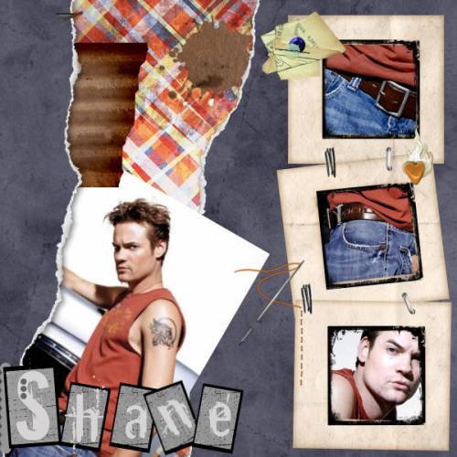 Shane Roughness
