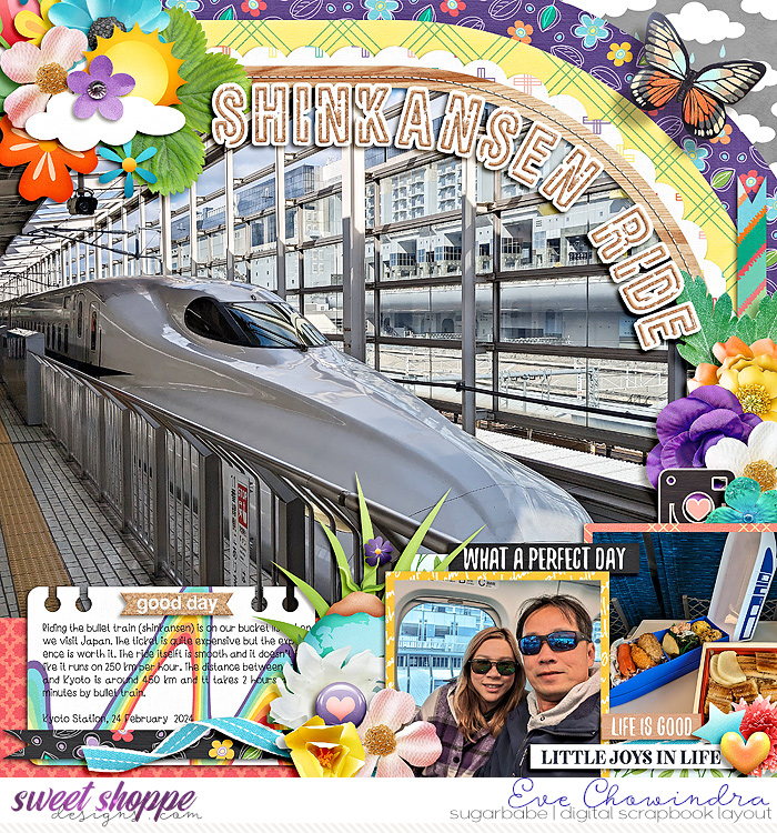 shinkansen ride