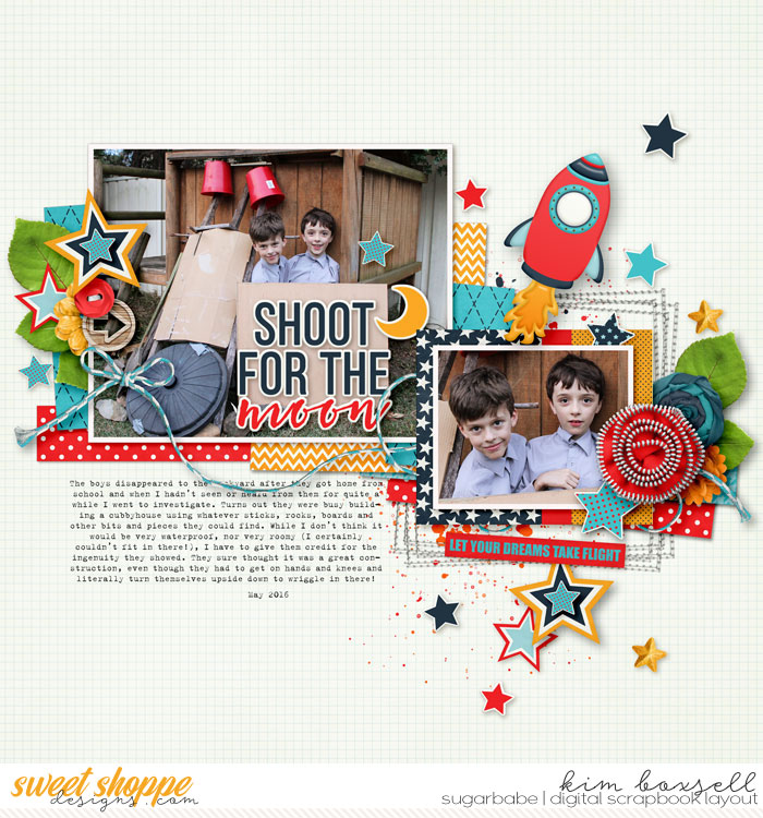 Shoot For the Moon