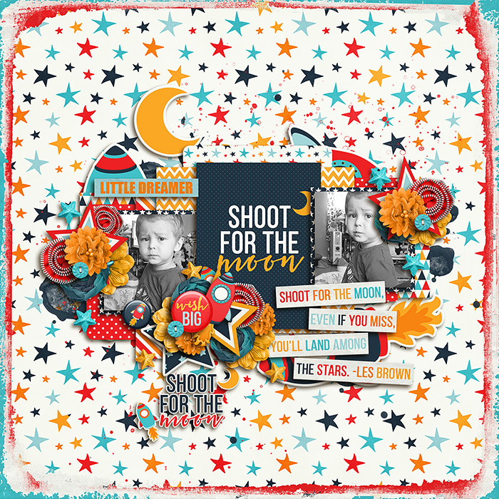 Shoot For The Moon