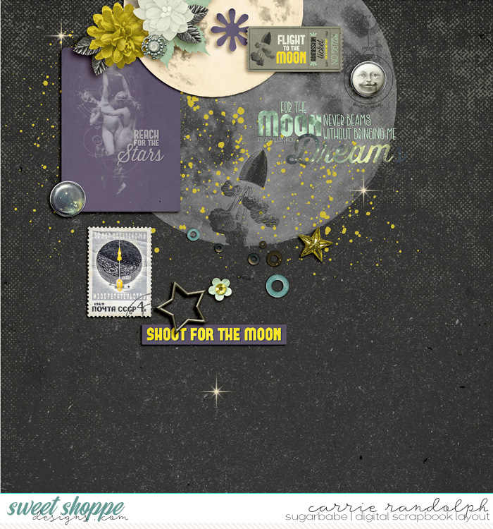 Shoot For The Moon