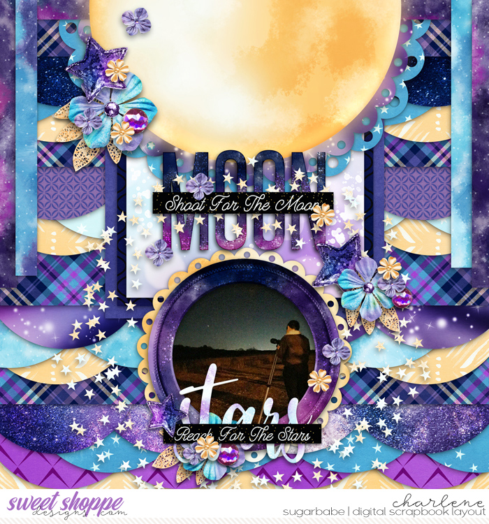 Shoot For The Moon