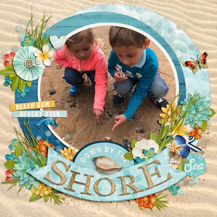 Shore