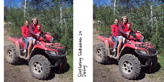 Shutterbug #24