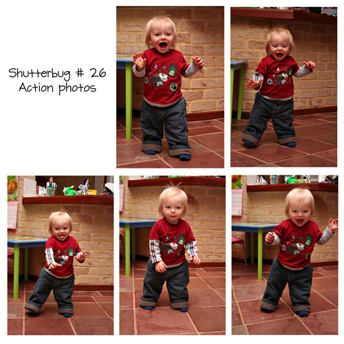 Shutterbug # 26 - Action Photos