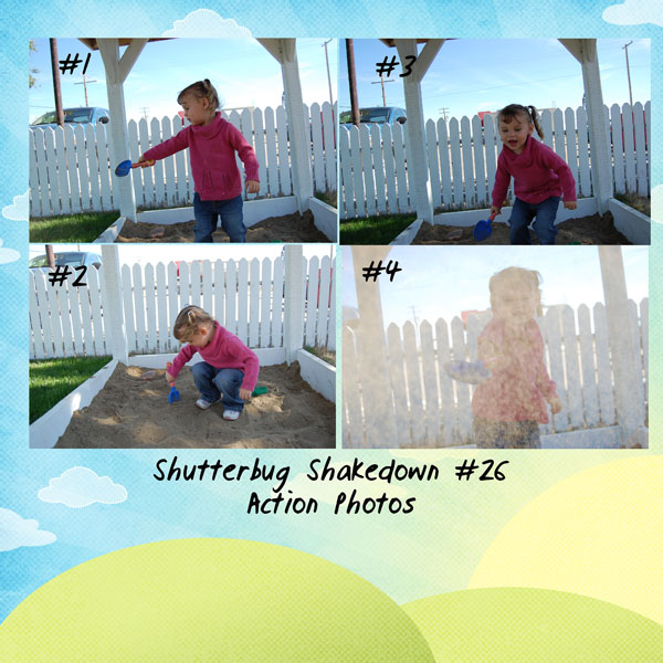 Shutterbug # 26