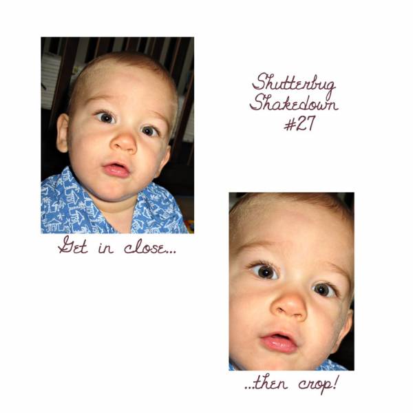 Shutterbug #27