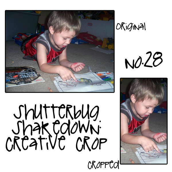 Shutterbug #28
