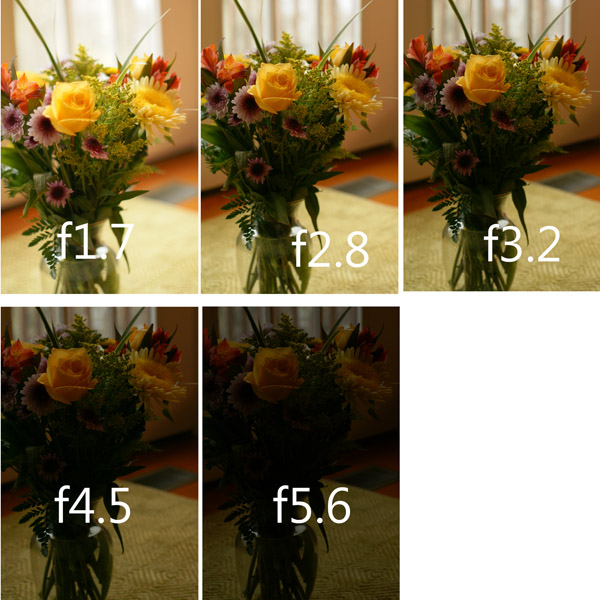 Shutterbug Challenge Fstops