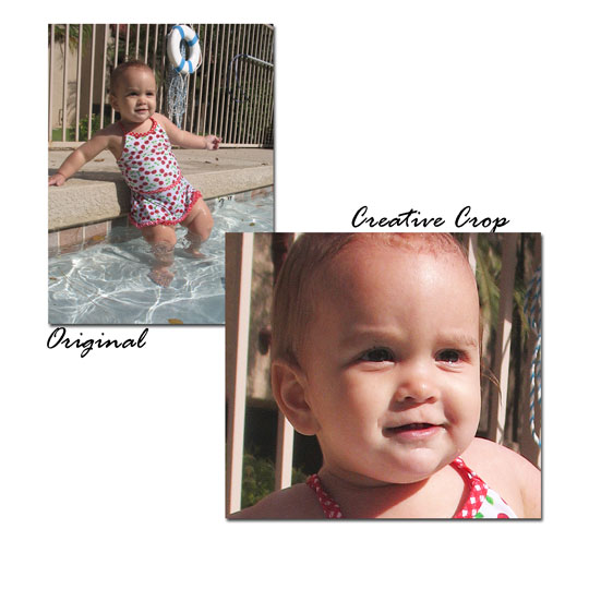 Shutterbug Shake Down #27