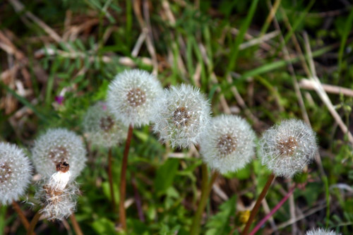 Shutterbug Shakedown #10