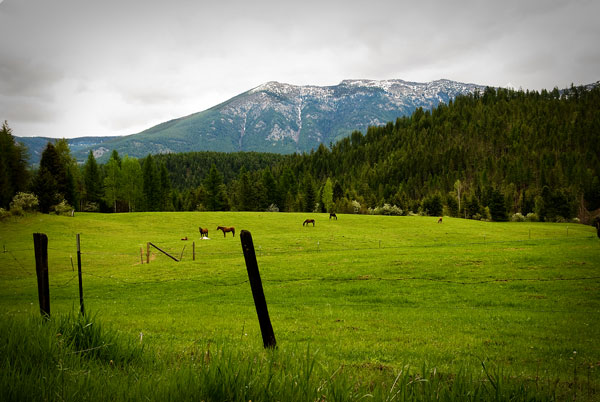 Shutterbug Shakedown #12  - Your Town