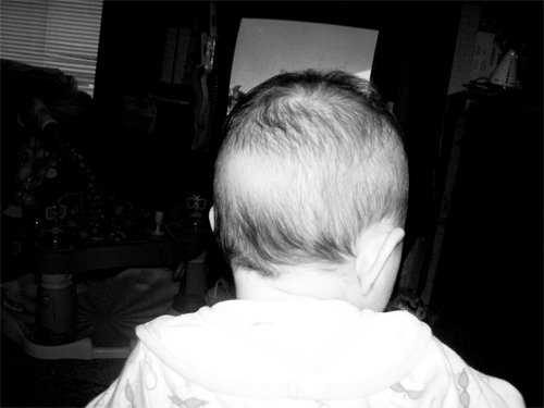 Shutterbug Shakedown #14 Photo