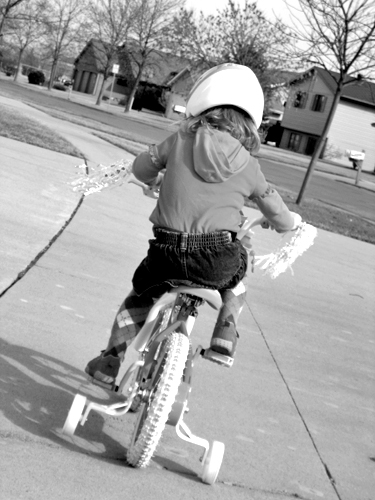 Shutterbug Shakedown #17