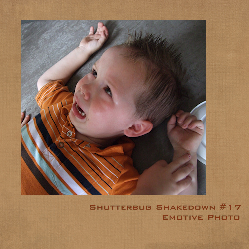 Shutterbug Shakedown #17