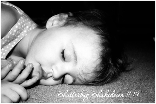 Shutterbug Shakedown #19