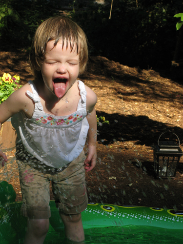 Shutterbug Shakedown #20