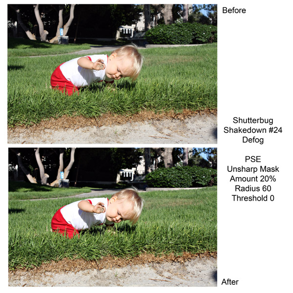 Shutterbug Shakedown 24