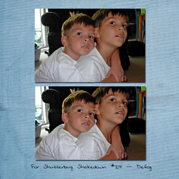 Shutterbug Shakedown 24