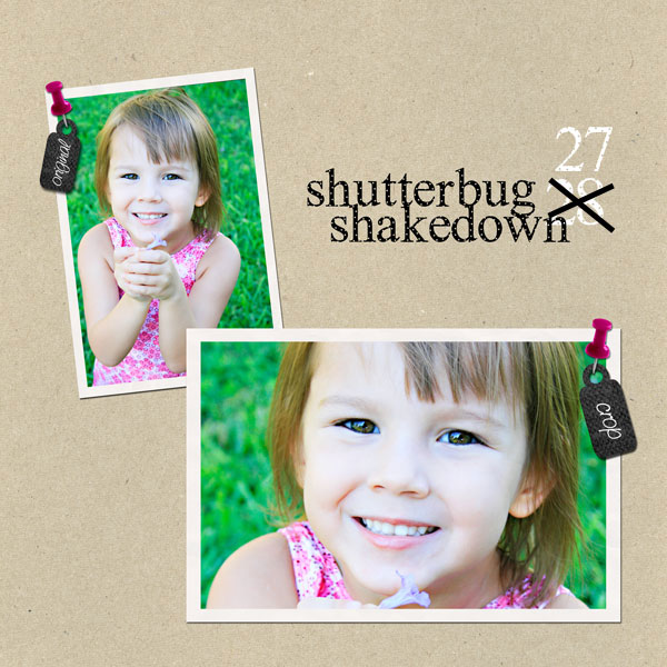 shutterbug shakedown 27