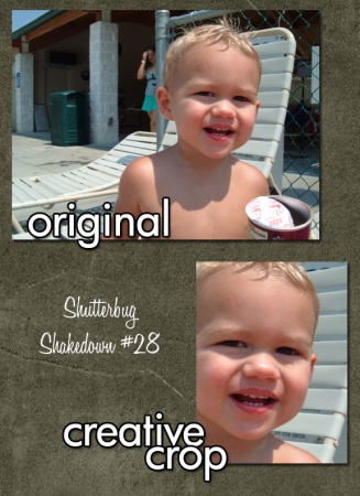 Shutterbug Shakedown #28