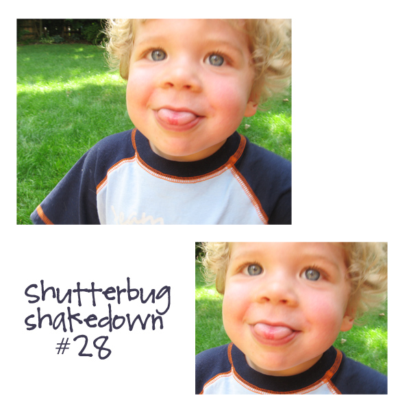 shutterbug shakedown #28