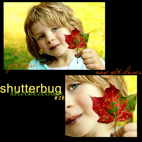 Shutterbug Shakedown #28