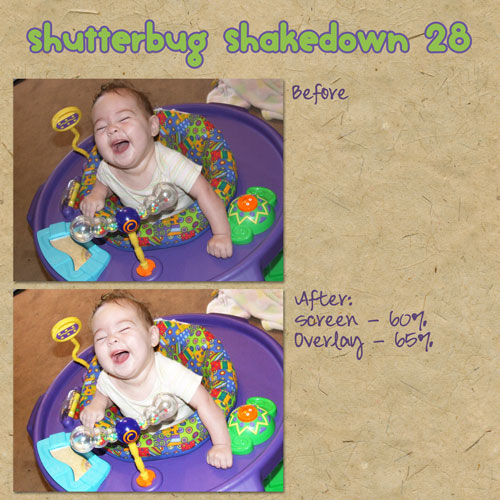 Shutterbug Shakedown #28
