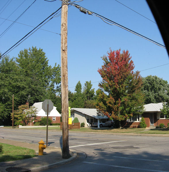 Shutterbug Shakedown 31
