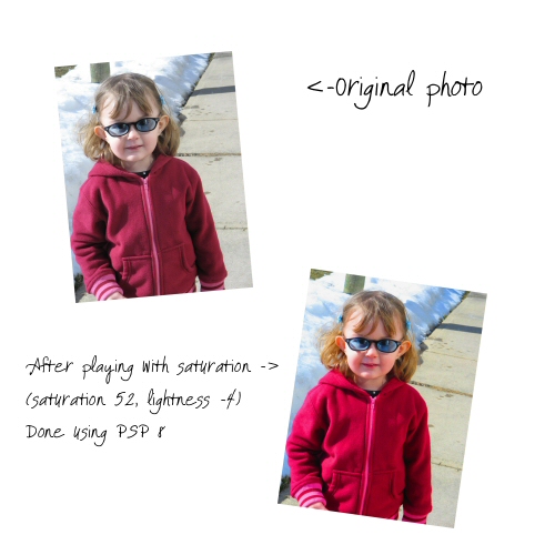 Shutterbug Shakedown 6