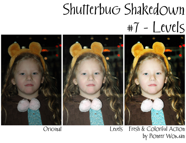 Shutterbug Shakedown #7 - Levels (Annika)