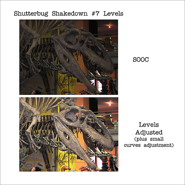 Shutterbug Shakedown 7 - Levels