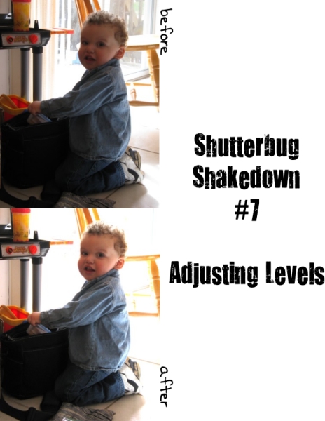 Shutterbug Shakedown  #7