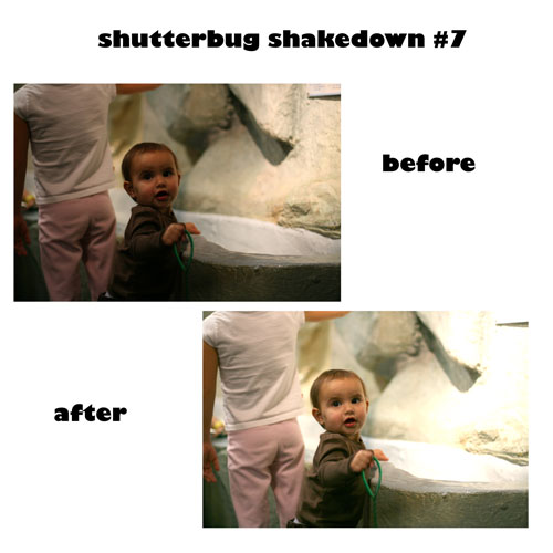 shutterbug shakedown #7