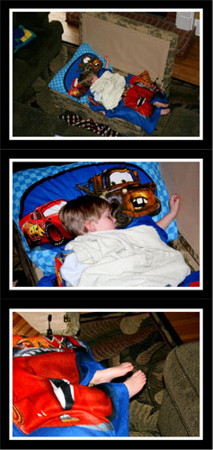 Shutterbug Shakedown 8