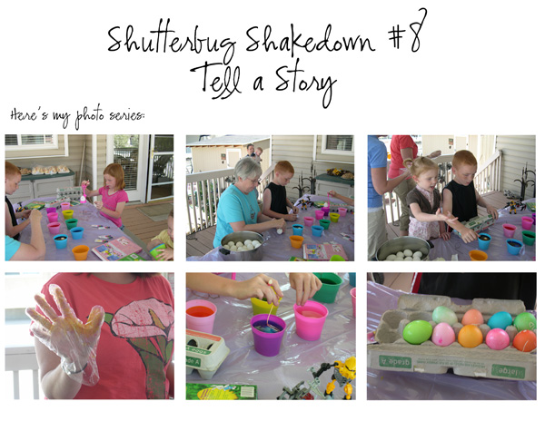 Shutterbug Shakedown #8
