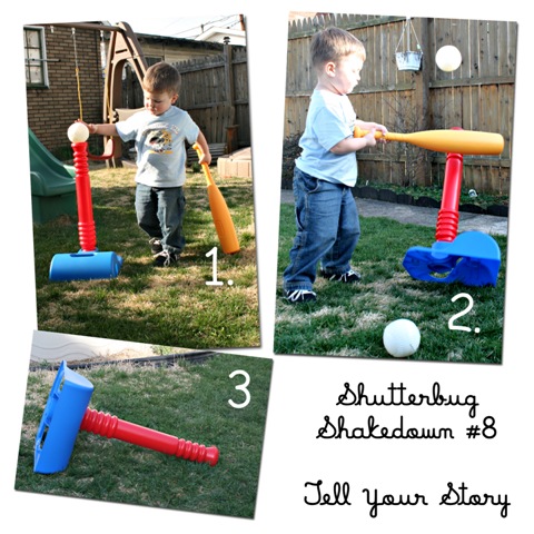 Shutterbug Shakedown #8