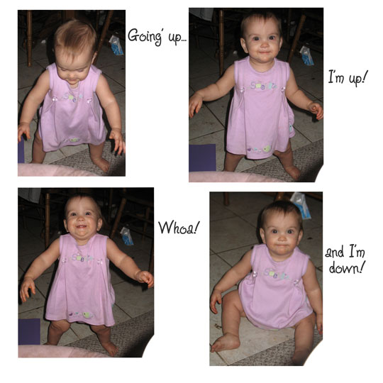 Shutterbug Shakedown #8
