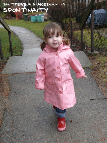 Shutterbug Shakedown #9