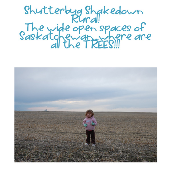 Shutterbug_11