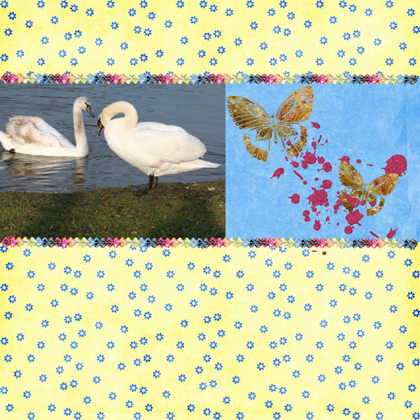 Signet and parent