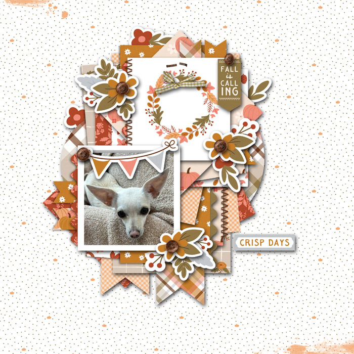 Signs of Autumn Gertie