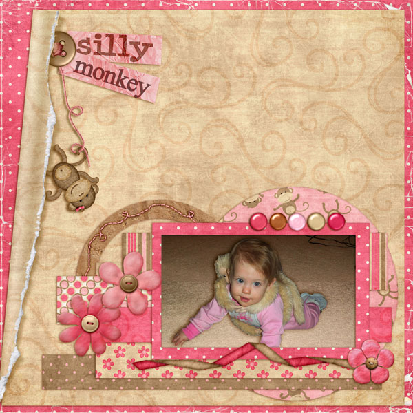 Silly Monkey