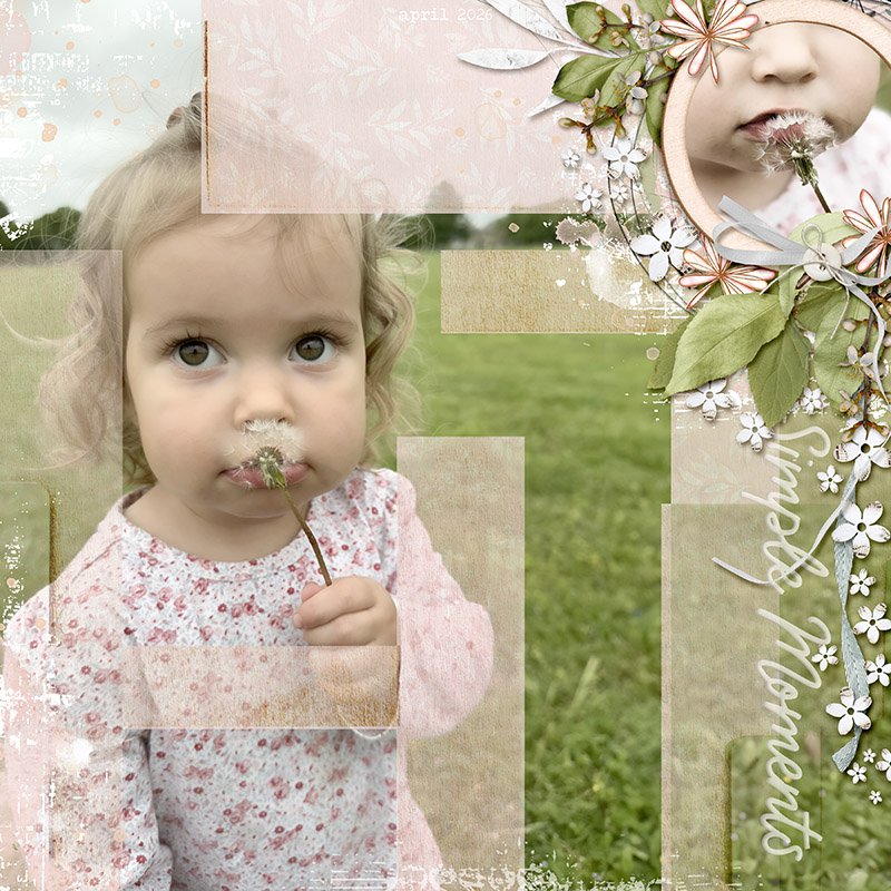 Simple Moments Ivy Dandilion.jpg