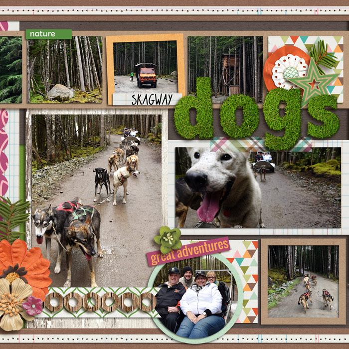 Skagway Dogs