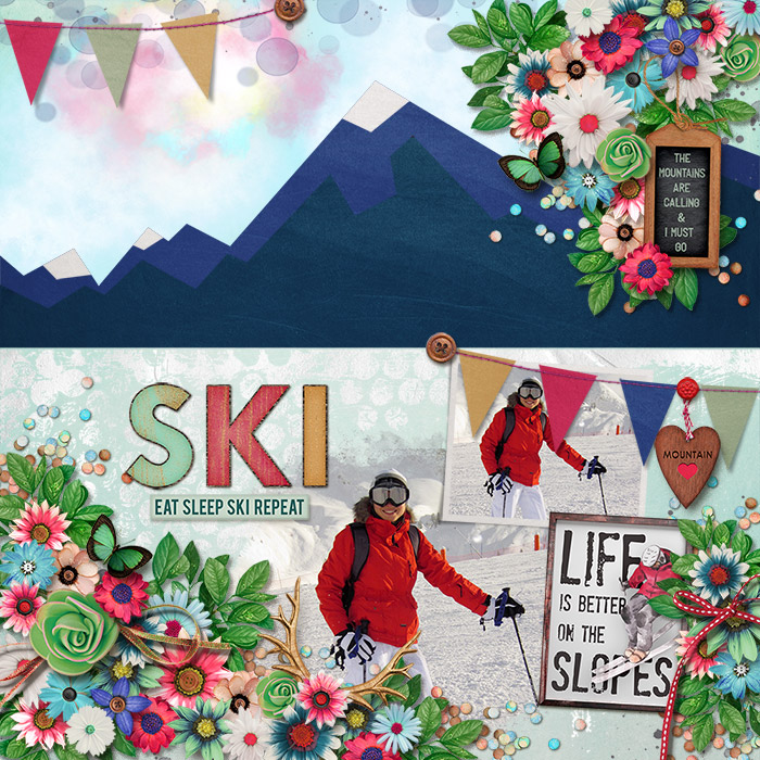 Ski