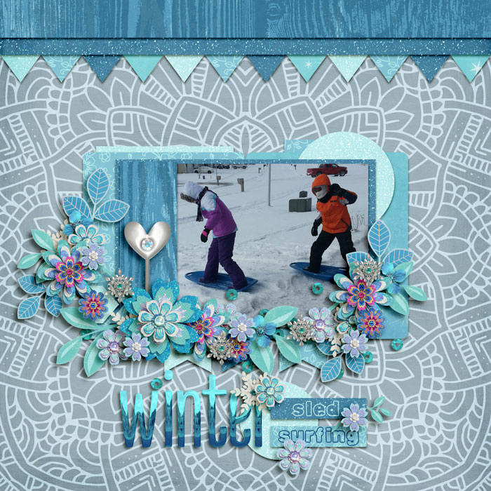 Sled Surfing - Bingo #12