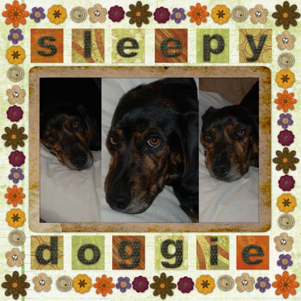Sleepy Doggie