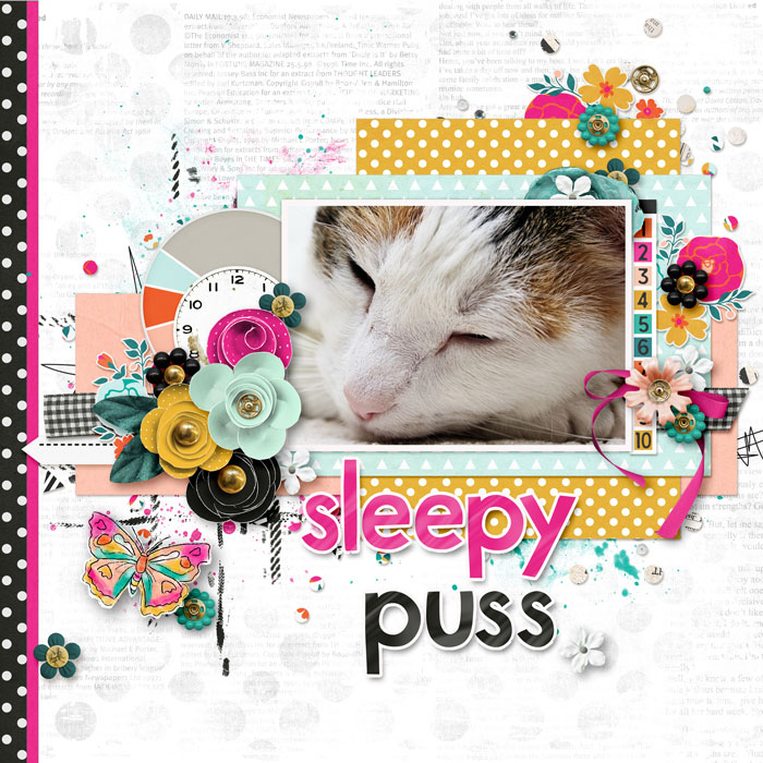 Sleepy Puss